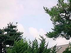 하숙집 딸내미들 2023