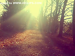 A Winter's Walk