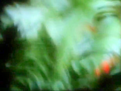 Alien Body Snatch XXX