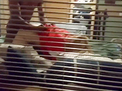 Amateur Slut Wife Caught Cheating Like A Whore Pt1