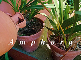 Amphora - Malena - EternalDesire
