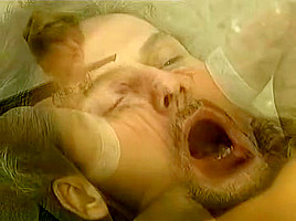 Anaxtasia - Luca Damiano - Erika Bella - Lea Martini - Mily Di Ambraccio