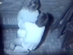 Asian couple has a quickie in the alley