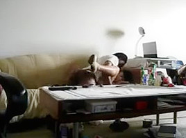 Asian honey gets blacked