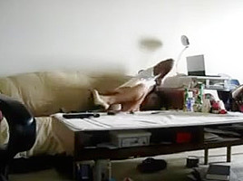 Asian honey gets blacked
