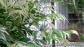 Asian watersports sluts piss outside
