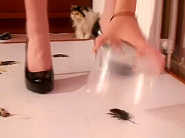 Astonishing xxx video Feet exclusive you've seen