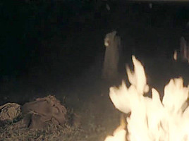 Au fond des bois (2010) Isild Le Besco