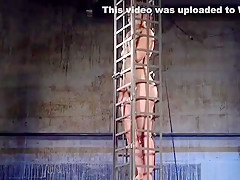 Babe in cage gets water bondage