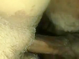 Balls swinging hitting this pussy doggy style