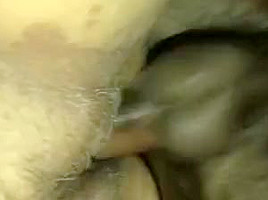 Balls swinging hitting this pussy doggy style