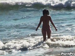 Beach Doxy Sharked