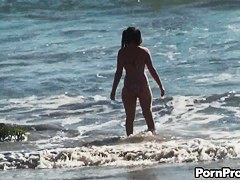 Beach Doxy Sharked