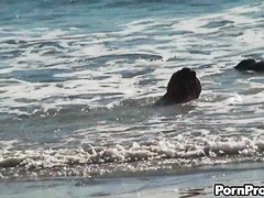 Beach Doxy Sharked