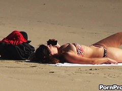 Beach Doxy Sharked