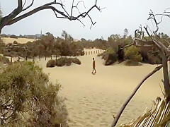 Beach Gape Public In The Dunes