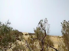 Beach Gape Public In The Dunes