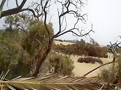 Beach Gape Public In The Dunes