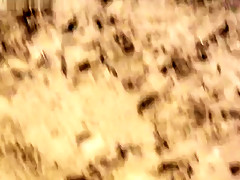Beach Masturbation - Masturbation ?? La Plage