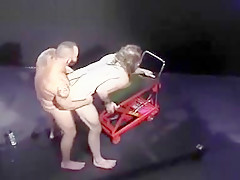 Beefy Hairy Dudes Pounding