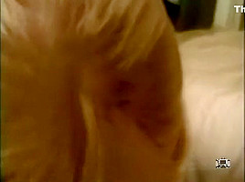 Best amateur Big Dick, Blowjob porn video