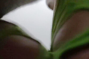 Big Dick Breeding Ts Cumdump Slut