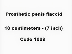 Big Flaccid Prosthetic Penis