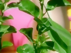 Bikini girl cameltoe in beach video