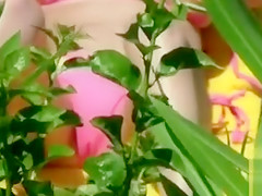 Bikini girl cameltoe in beach video