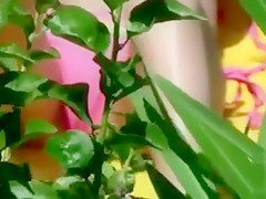 Bikini girl cameltoe in beach video