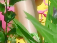 Bikini girl cameltoe in beach video