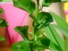 Bikini girl cameltoe in beach video