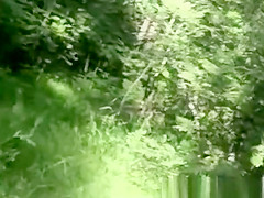 Bitch in the Forest