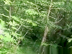Bitch in the Forest