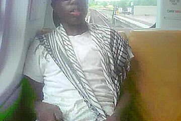 Black chic suck big black Dick