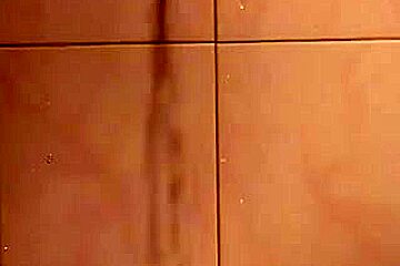 Blonde Euro Christel Starr percé porter des talons bas nylon