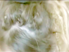 Blowjob and Sex - Clips from Foreign Movie