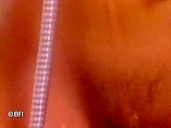Brigitte Takes From Antwerp Harbor Dvd