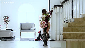 Brunette beauty gets railed