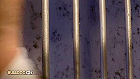 BullDogXXX com - 36021
