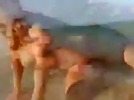 Carol Goldnerova Teases You On The Beach