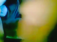 Casting Desi Tante Fucking mit ihrem BF im Auto bj Spaß