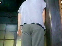 Chau nung ngua lon cho chu dit