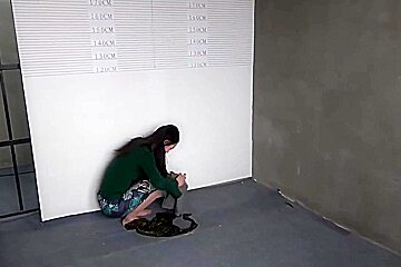 Chinese Woman In Prison