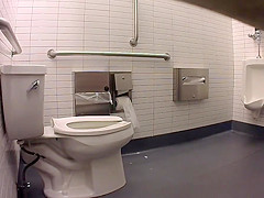 Chipotle Toilet