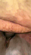Closeup Fuck