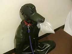Cohi - 027 - Rubberdog2