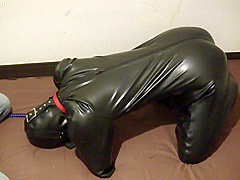 Cohi - 027 - Rubberdog2