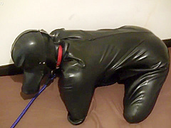 Cohi - 027 - Rubberdog2
