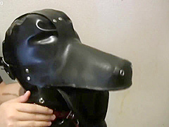 Cohi - 027 - Rubberdog2